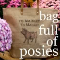 bag full of posies