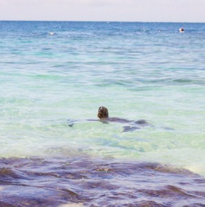 day-6-and-family-039