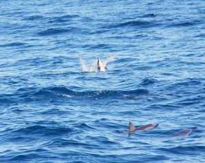 kauai-day-5-and-6-040